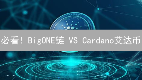 必看！BigONE链 VS Cardano艾达币：7大关键区别深度剖析