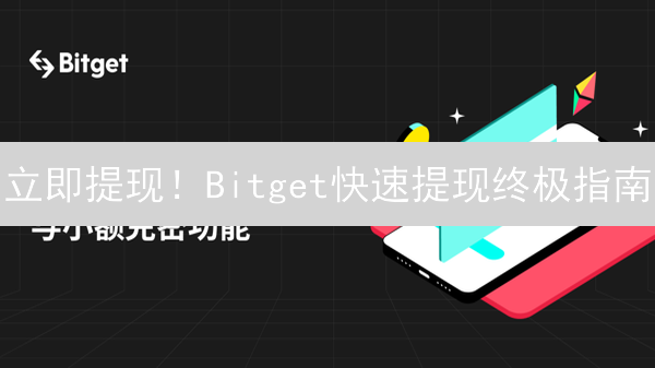 立即提现！Bitget快速提现终极指南：避坑技巧大公开