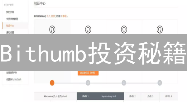 Bithumb投资秘籍：新手避坑指南 vs. 老手盈利策略